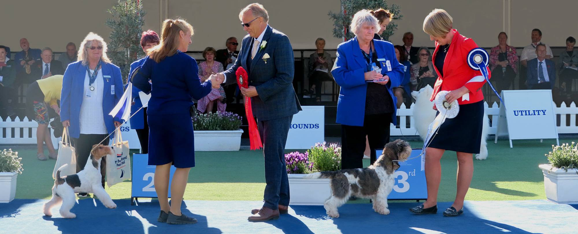 Canine rosettes at Melbourne Royal Show 2022.
